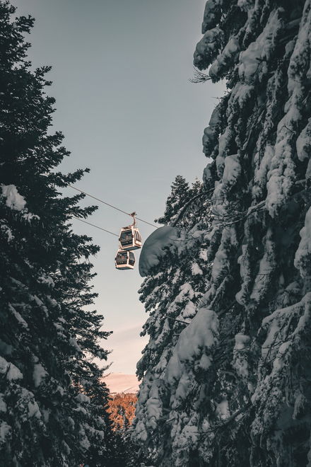 Télécabine au-dessus d'une forêt enneigée